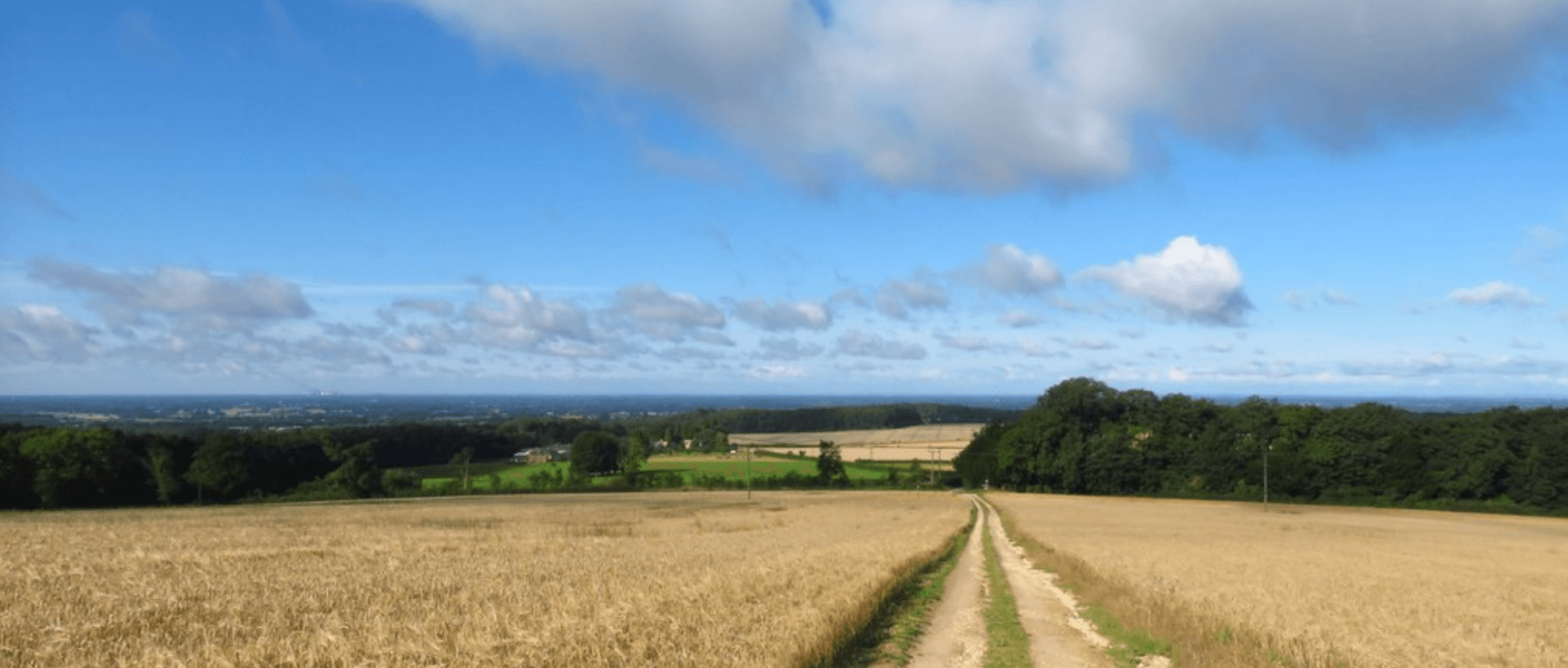 Golden cereal fields and a farm track through rolling Wolds countryside under a bright summer sky.