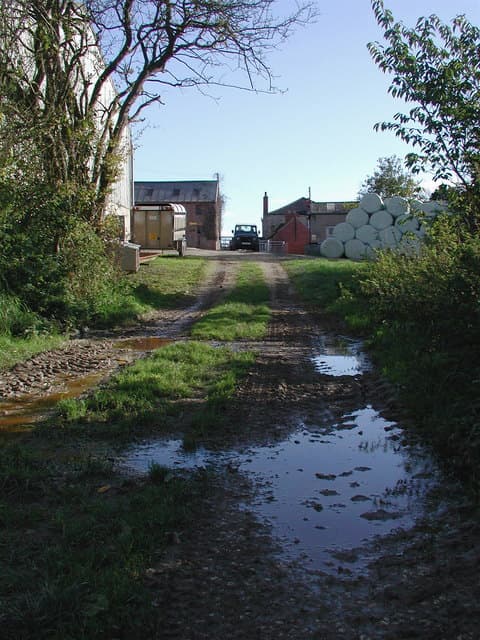 Yorkshire Wolds Way at Burnby Wold, with farm waymarking arrows beside the path.
