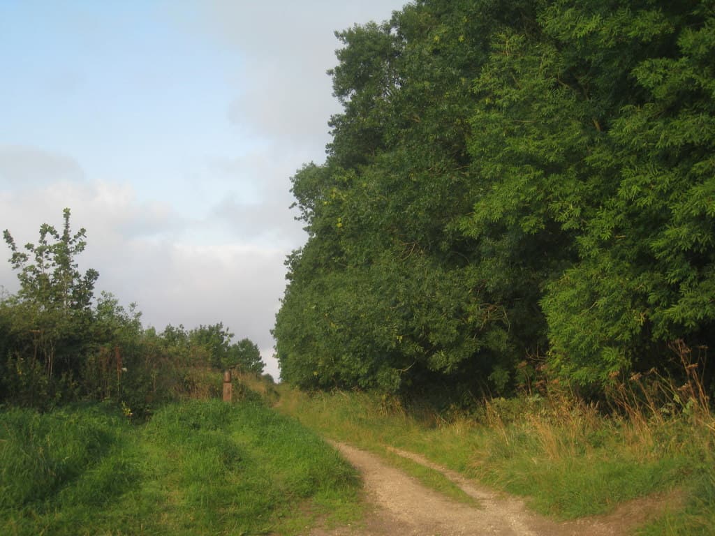 Footpath on the Yorkshire Wolds Way through rolling farmland.