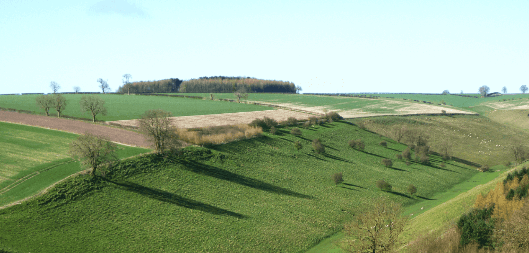 Rolling chalk hills and dry valleys in the Yorkshire Wolds under a pale blue sky.