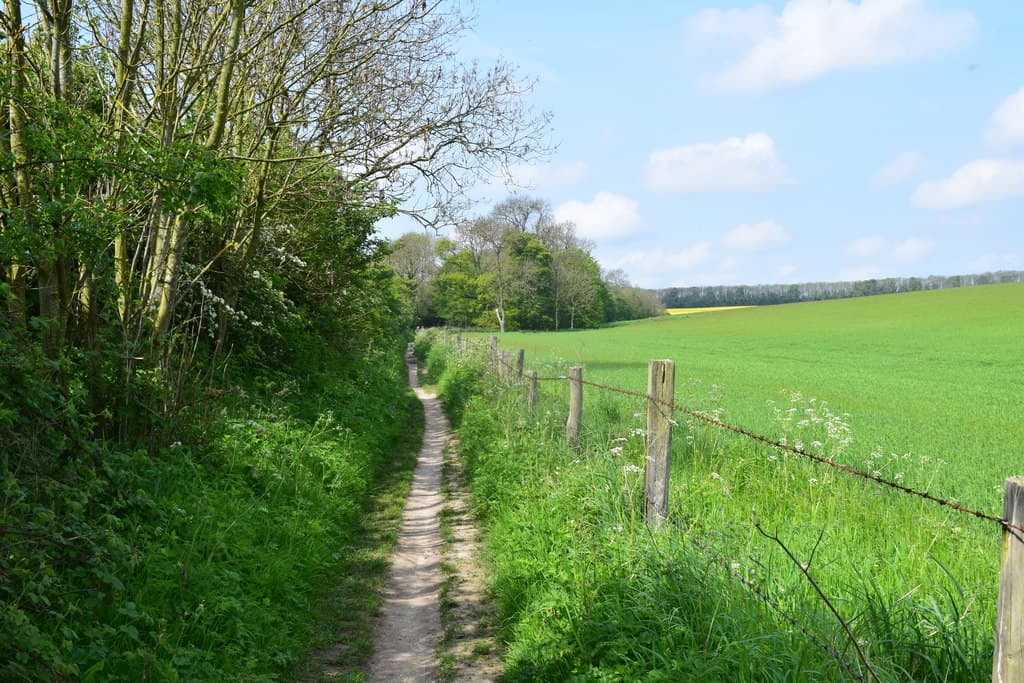 Open chalk landscape along the Yorkshire Wolds Way.